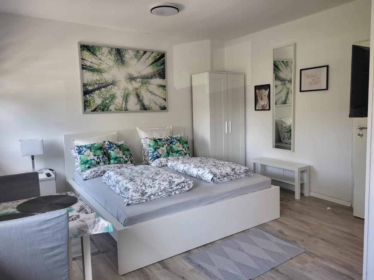 A Comfortable And Modern Newly Renovated Apartament MHG