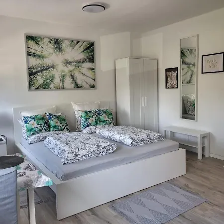 A Comfortable And Modern Newly Renovated Apartment Mannheim Exterior photo
